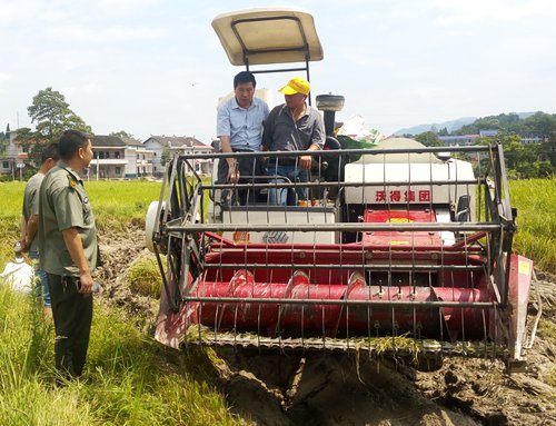 圖為縣農(nóng)機(jī)局副局長(zhǎng)龔厚賢在上梅鎮(zhèn)白羊坪指導(dǎo)機(jī)手操作收割機(jī).jpg